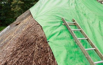 maintaining Tamworth thatch